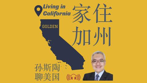 深港合作共,育大湾区红,树林,皇冠体育,CROWN,SPORTS,皇冠体育官网,皇冠体育官网,皇冠体育下载,皇冠体育APP