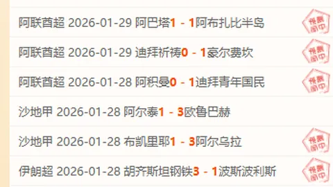 勒沃库森连胜纪录不断，4-0大胜杜塞尔多夫晋级德国杯决赛